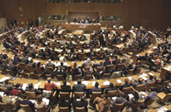 1984년 유엔은 ‘인류의 평화에 대한 권리선언’을 발표했다.<출처; UN PHOTO><br />
